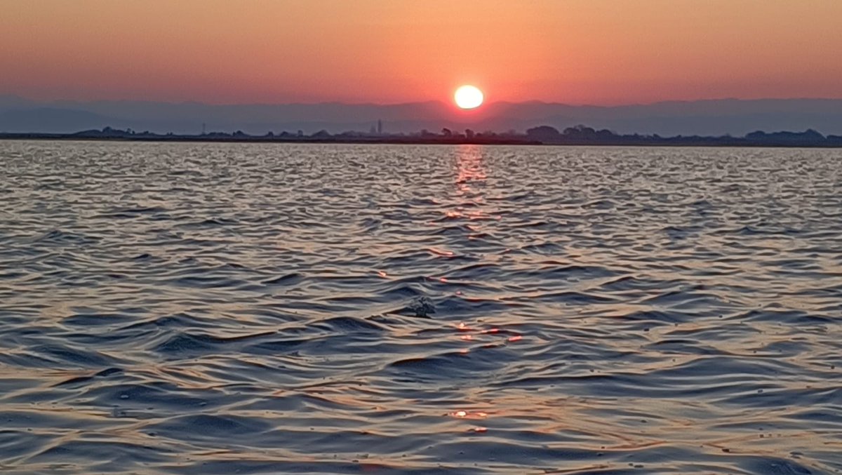 #isola di #GRADO #island - #Buon #Ferragosto e #Festa dell'#Assunta - Battuta di #pesca all'#alba - Per ora bottino quasi nullo - in compenso un bellissimo inizio di giornata - @mariacr28250504 @giorgiobigi1 @marina52182 @SuttoraM @azure_keke @SaraSanson67 @srmcarla @CMarc17