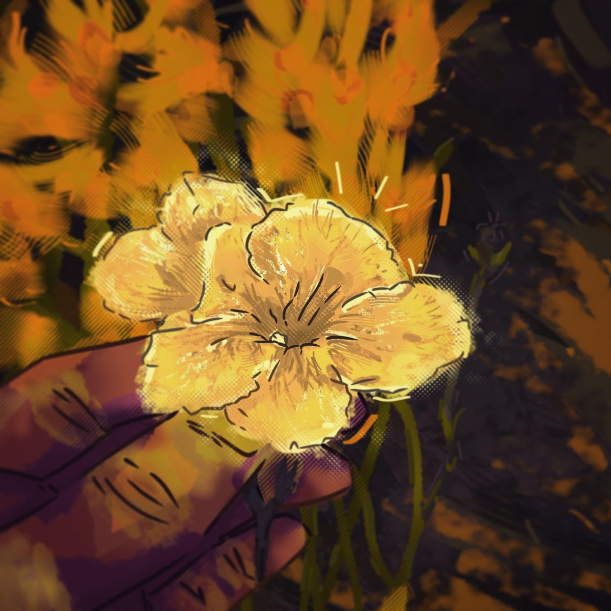 Reric_Costa's tweet image. 🌼