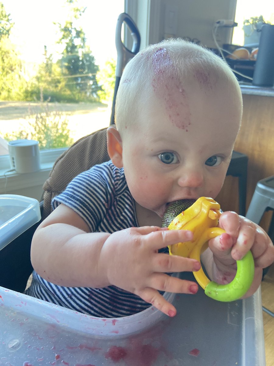 The discovery of food