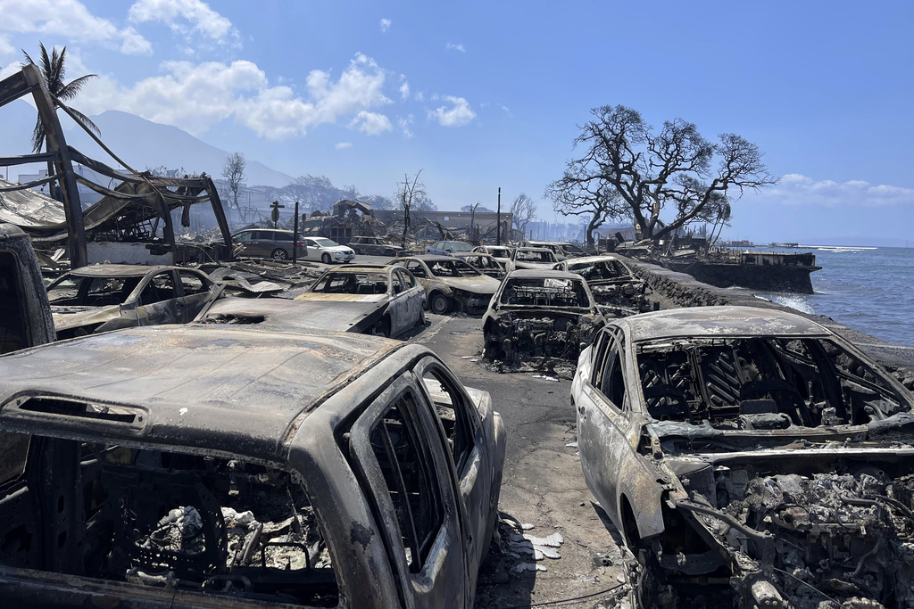 nicksortor's tweet photo. 🚨 ALRIGHT, I'VE HAD ENOUGH: Authorities from the US gov. & Hawaii are NOT being transparent. I AM HEADING OUT TO HAWAII TOMORROW to figure out what the hell is going on in Maui.

I want to bring other independent journalists with me.

100+ ARE DEAD.

WHY? HOW?

We're going to find out.

My flight leaves in hours.

Stay tuned.
