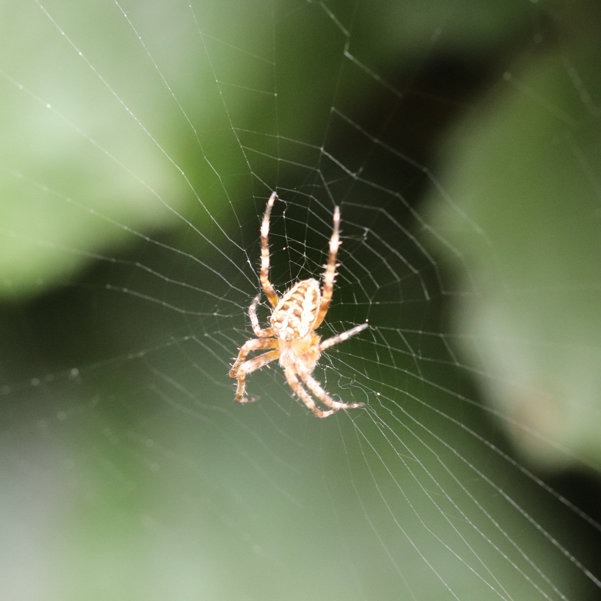 #NouvellePhotoDeProfil