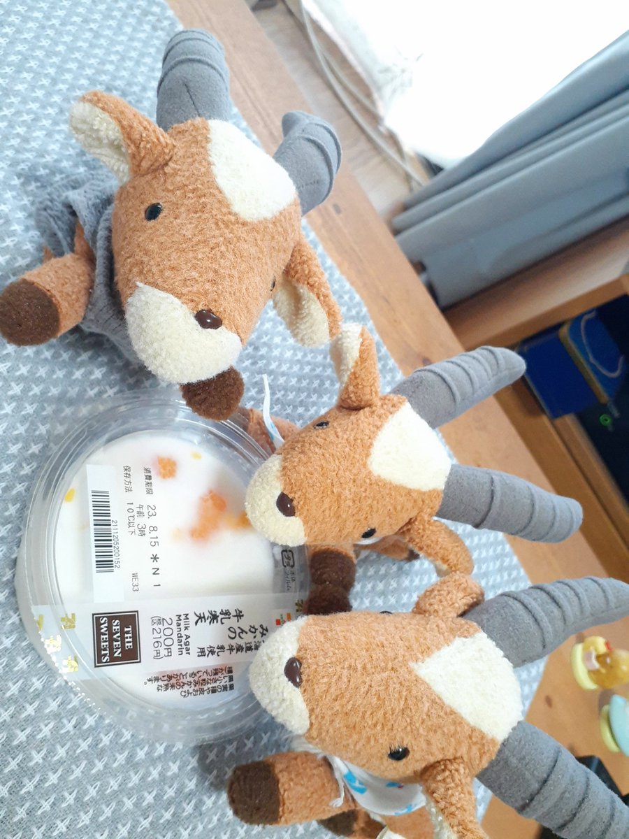 Uta5910's tweet photo. 今年も
食欲不振でもこれは食べられる🍊🦌🦌🦌 https://t.co/uDNHZX235d