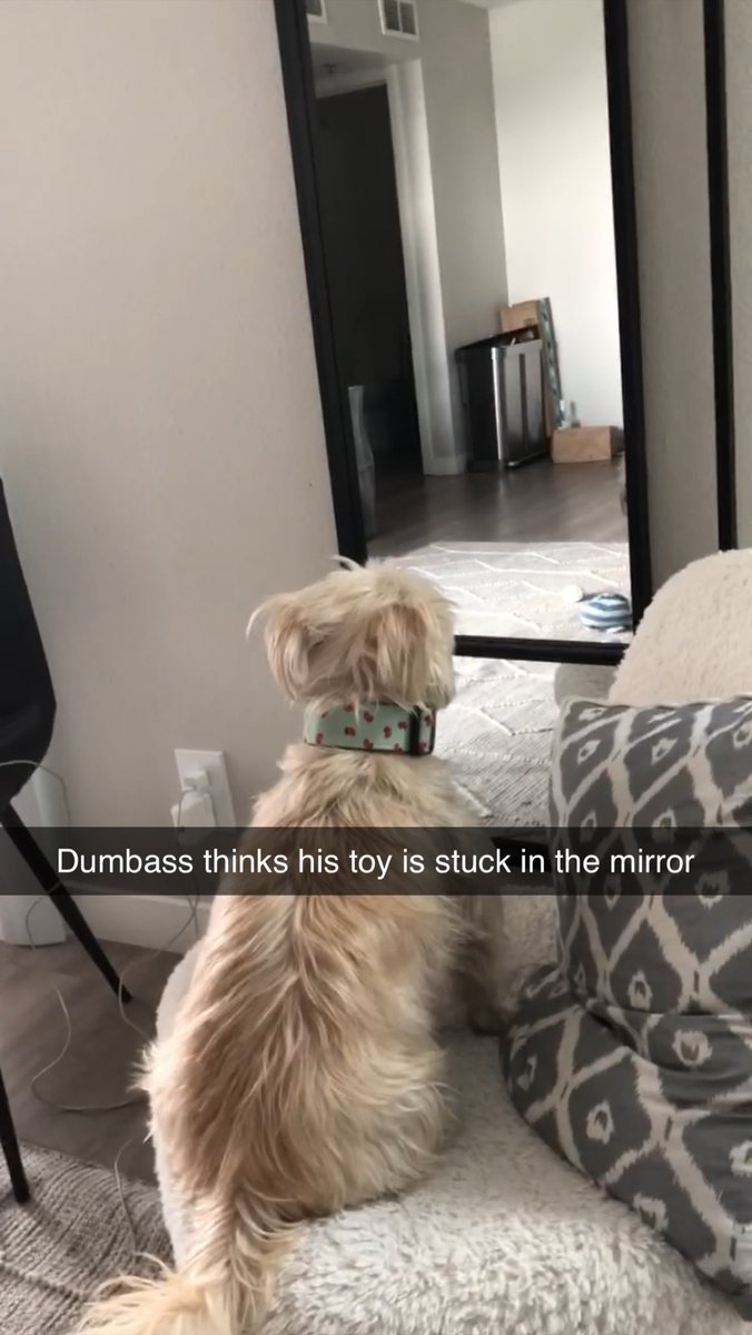 yeah no shit