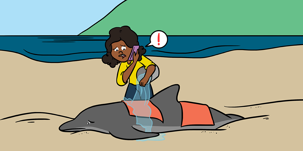 Natural Sciences at Massey (@natscimassey) on Twitter photo Why do marine mammals strand on land and how can humans help? These concepts are the focus of an article from <a href="/RebeccaMBoys/">Rebecca M Boys</a>, <a href="/karen_stockin/">Karen Stockin</a> and <a href="/kjopeters/">Katharina J. Peters</a> in <a href="/FrontYoungMinds/">Frontiers for Young Minds</a> – a journal connecting researchers to aspiring scientists. doi.org/10.3389/frym.2… Why do marine mammals strand on land and how can humans help? These concepts are the focus of an article from <a href="/RebeccaMBoys/">Rebecca M Boys</a>, <a href="/karen_stockin/">Karen Stockin</a> and <a href="/kjopeters/">Katharina J. Peters</a> in <a href="/FrontYoungMinds/">Frontiers for Young Minds</a> – a journal connecting researchers to aspiring scientists. doi.org/10.3389/frym.2…
