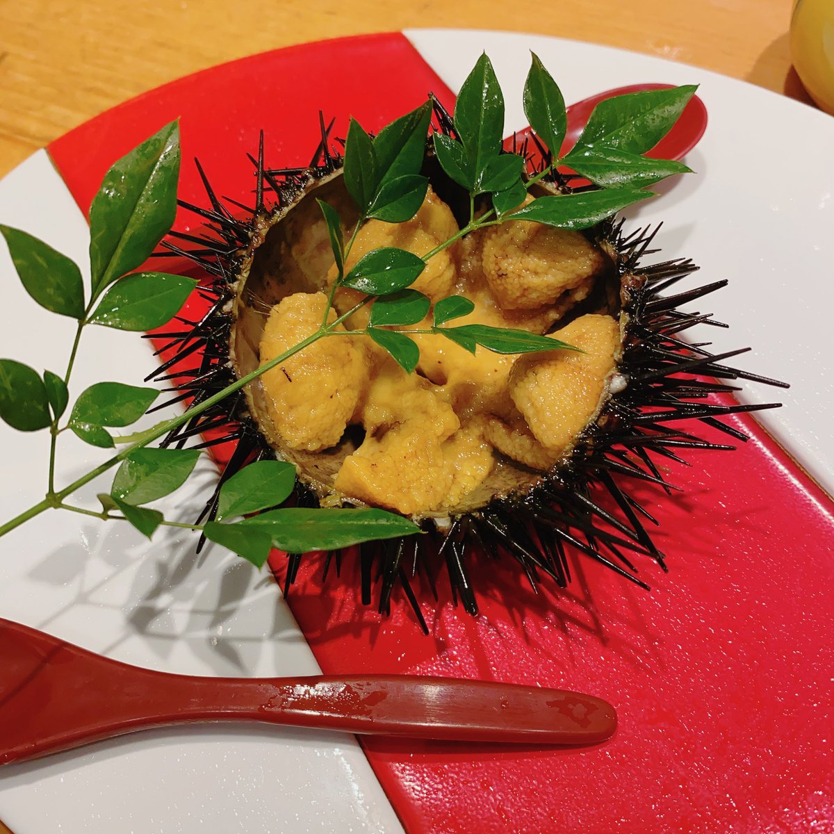 Kanoa628's tweet photo. 昨日のお昼に行った  #すし哲 さん。
いつも裏切らない美味しさ！
私はオススメの1人前握り、連れさんは適当に握りをお好みでオーダー。

さらに二人でお刺身や牡蠣をドンドン食べた！
お会計は推して知るべし 笑
でも美味しかったのでOK！ https://t.co/vG1P3mlMXQ