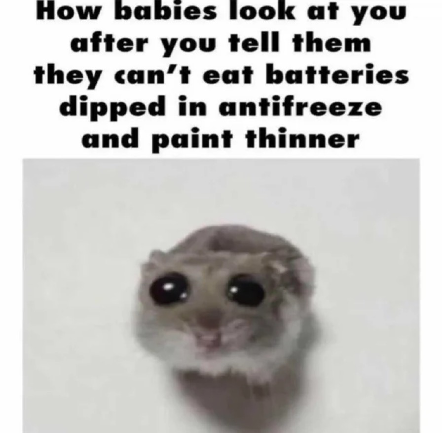BizarreInternet's tweet photo. @256GBMemes https://t.co/JGlL9eV69m