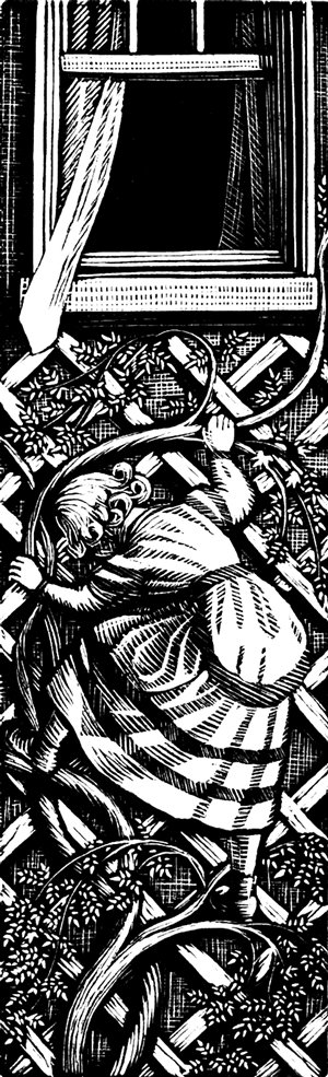 John Bailey Owen tweet media