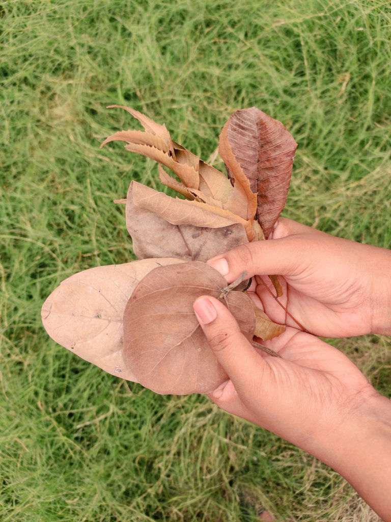 SBhurkunde's tweet photo. Some eco-friendly souvenirs and memories from #Gandhinagar, #Gujarat!
#Curiosity #Curiosityconference #scicomm #STEM #STEMed https://t.co/49msmmStLw