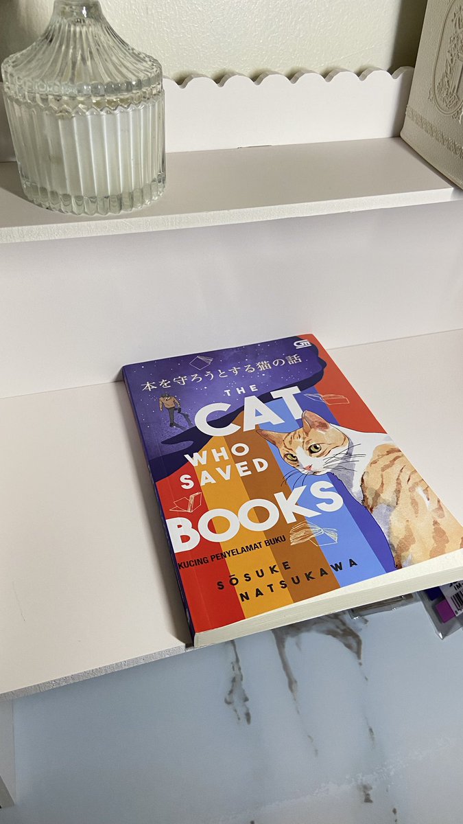 aelscream's tweet photo. 😼 https://t.co/EO2EytywaX