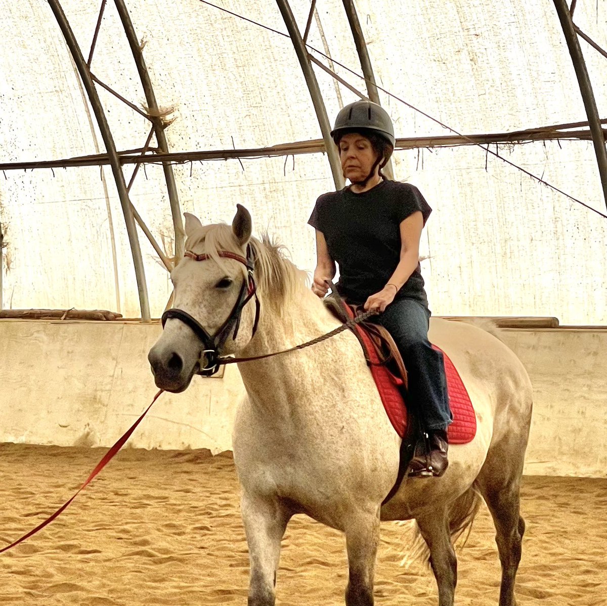 Melody Pierson (@melodyrachel) on Twitter photo 