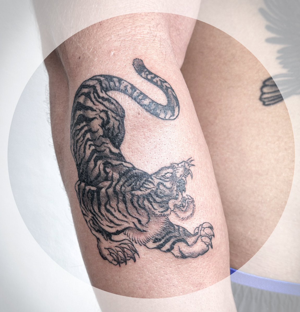 WarpTattoo's tweet photo. warp tattoo shop chiang mai
​#tattoochiangmai #reviewchiangmai #tattoonearme #warptattoo #tattoos #minimaltattoo #finelinetattoo #chiangmaitattoo #tattoolife  #ร้านสักเชียงใหม่ #simpletattoo #tattoo #smalltattoo #nomad #noamadchiangmai #tattooshopchiangmai
🤙🏻🙏🏼 https://t.co/nuKe8qg9m2