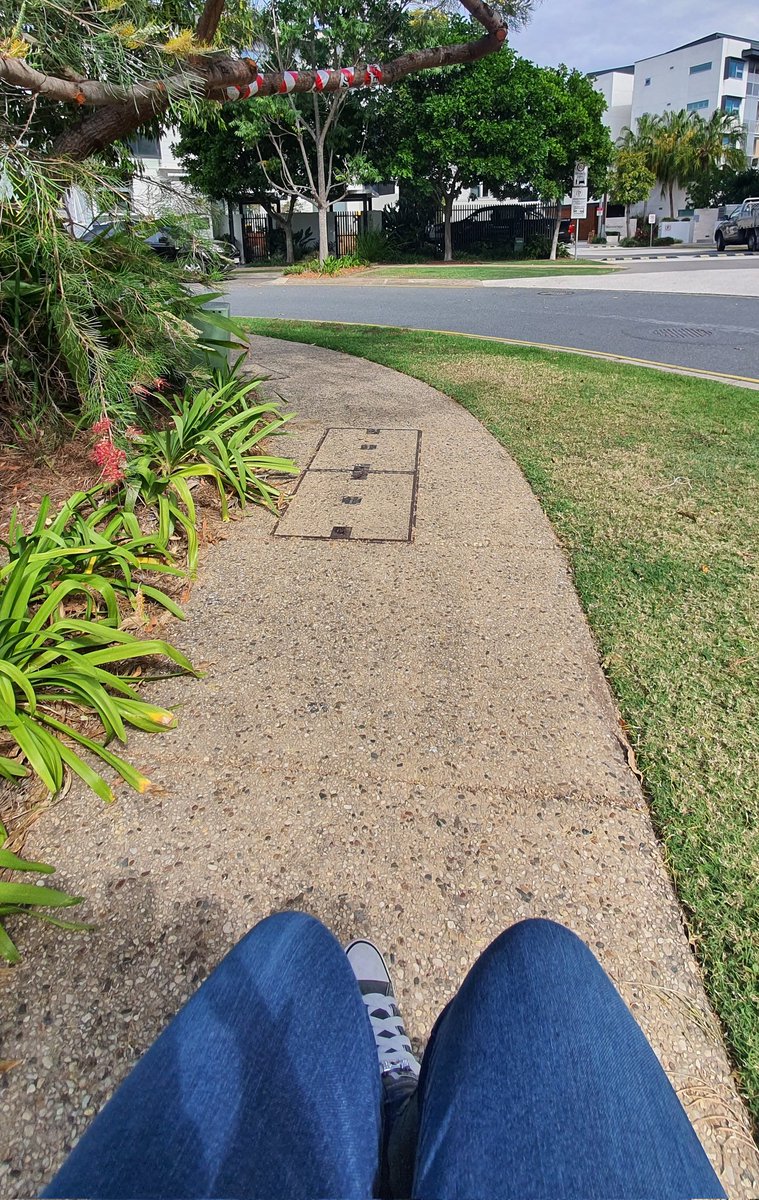 Spotted on today's walk... clearly a resident much taller than I has had enough 😬 #QldWalksMonth #WheelchairStories 

Image: view from the seat of Elisha's wheelchair of a tree branch reaching across a path with red and white danger tape wrapped around it.