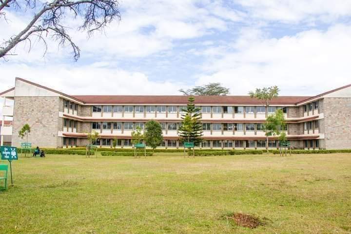 tenpKE's tweet photo. Where dreams become reality and knowledge shapes futures. Join our academic community today! 🌟📚 Apply online through our website https://t.co/RRRu1Cud8e
#Eldoretpoly 
#septemberintake2023 https://t.co/r2WvdsUeFL