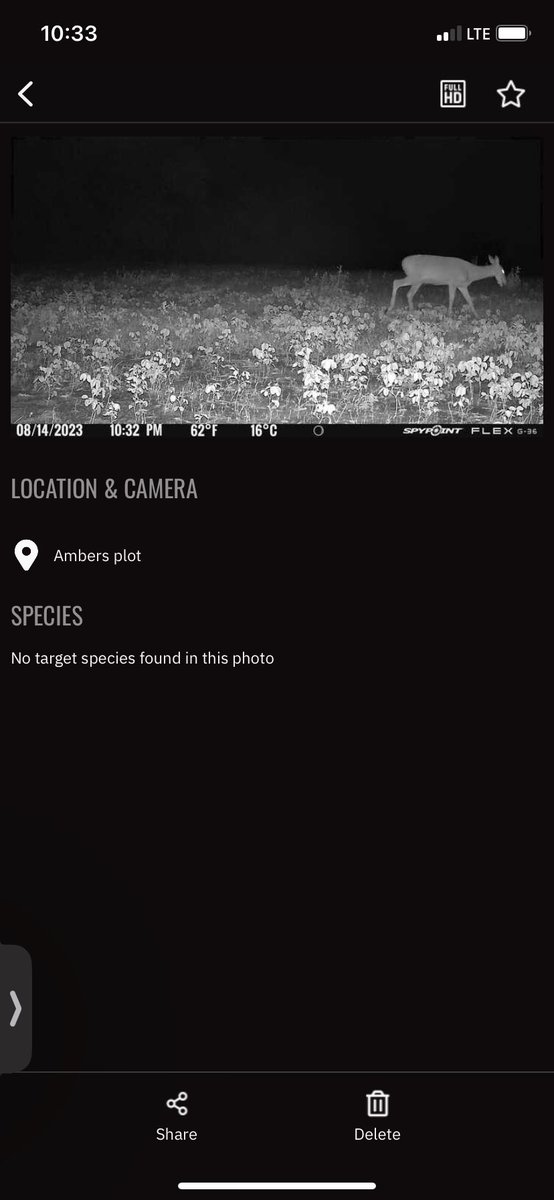 amber_hanson's tweet photo. These @SpypointCamera are the best. I love live updates! #mnhunting https://t.co/CA2PI6HHCN