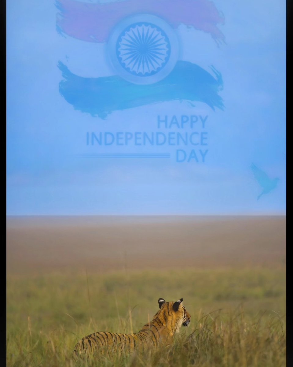 ashwanikasid's tweet photo. 🇮🇳🇮🇳 76th Anniversary of independence ,
Happy Independence Day to all 
🇮🇳🇮🇳

Pic taken at Corbett National park 🇮🇳
 📸 Nikon https://t.co/Bw93KwtP43