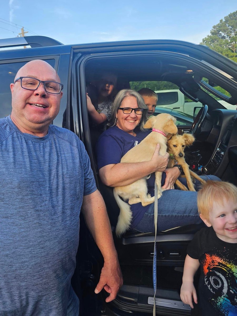 Good_vibes_up's tweet image. ROMEO &amp;amp; JULIET got ADOPTED together!! 😍😍😍

From @TiggerTownInc #TN: 

"This amazing couple adopted Romeo and Juliet. Of course it was a perfect choice for this amazing couple as they have already adopted 2 sets of twins and a baby. They figured it was time to add some furbabys…