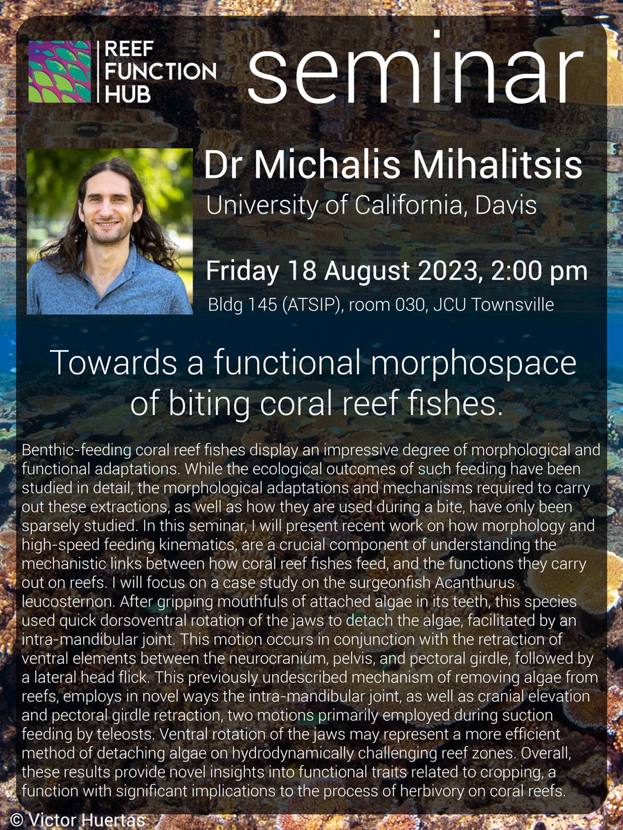 ReefFunctionHub's tweet photo. Want to know how exactly reef fishes bite &amp; what it means for their behaviour &amp; for reef ecology?

Join us this Friday @JCU TSV for a seminar by our lab alum &amp; visiting researcher @MikeMihalitsis!

More about Mike's research: https://t.co/rG2x4eKvPG 
&amp;
https://t.co/T2vmYQbQtV https://t.co/iSqX2C9Zoj