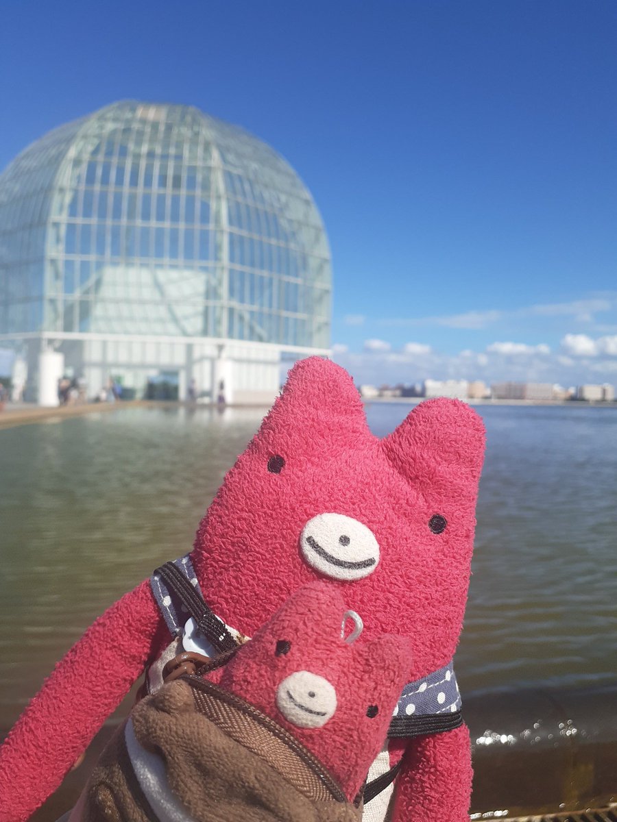 Uta5910's tweet photo. おでかけしてきた🐻🐻 https://t.co/mCsCNgQeE2
