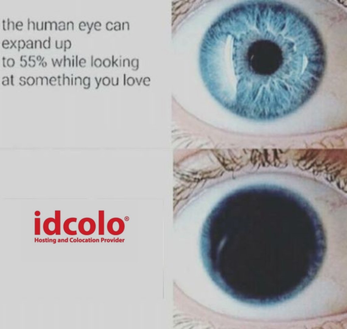 Cinta banget deh sama idcolo ❤️❤️

#diidcolo #makelifeeasier #server #colocation