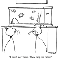 TFHmagazine's tweet photo. Nothing but good vibes here. 😎
#TropicalFishHobbyist #fishhumor #cartoon #catcartoon https://t.co/cuRjGRSnkk