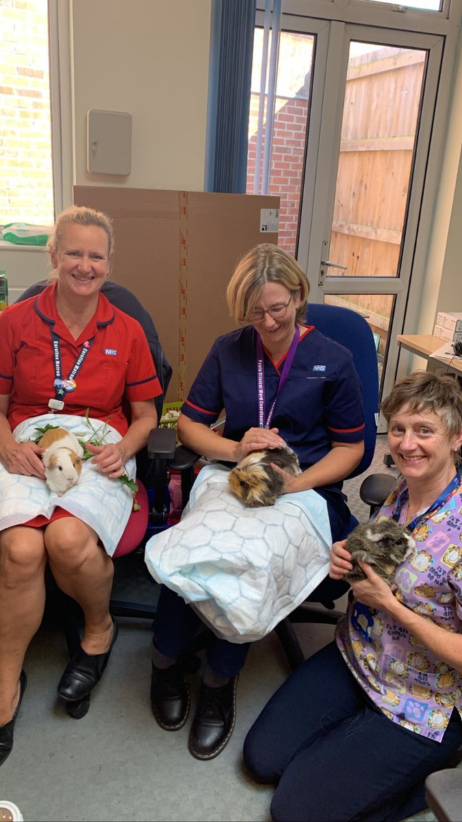 Our newest team members have arrived to join Hazel - Welcome Pip and Powder! 🥰