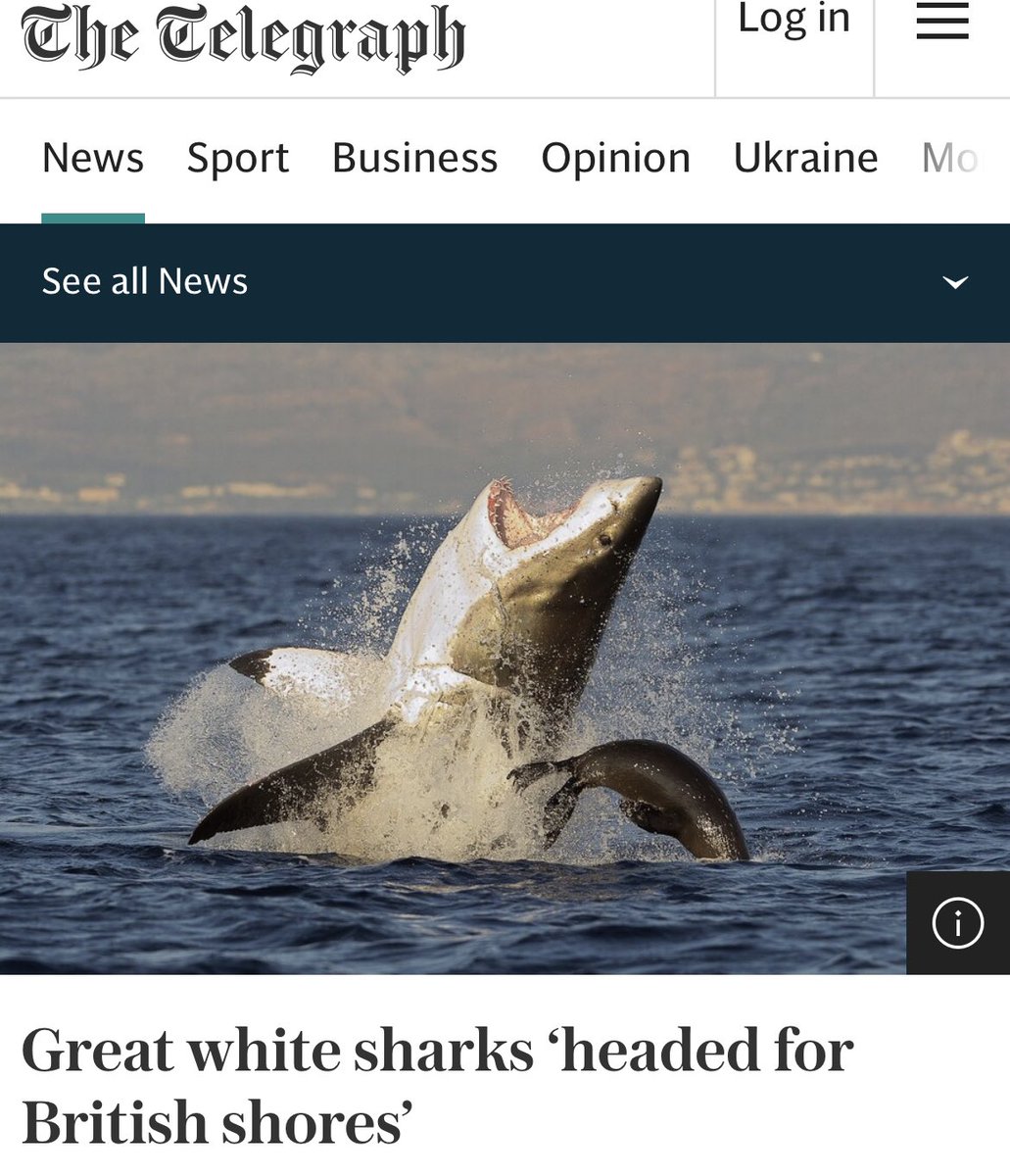 Jayda Fransen tweet media