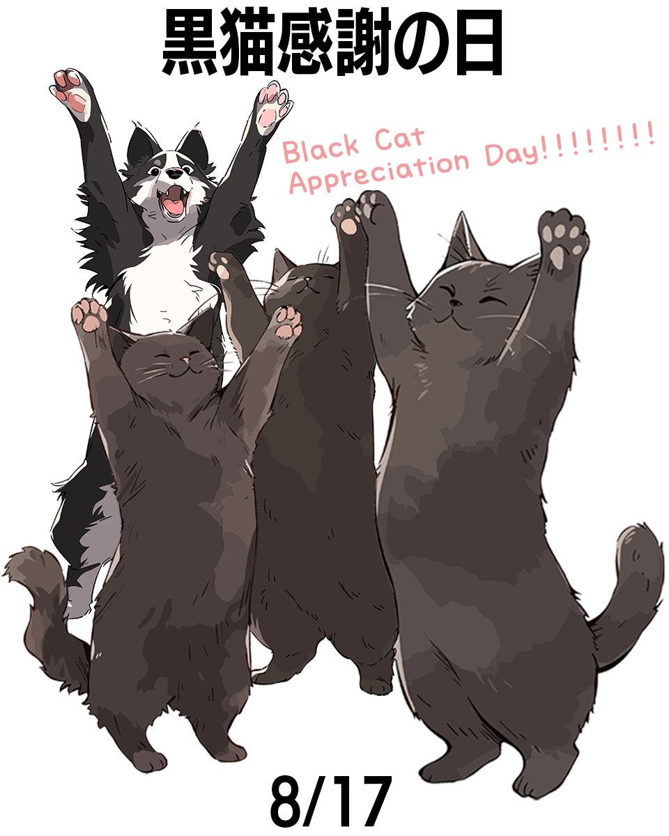 明日8月17日は、#黒猫感謝の日
#BlackCatAppreciationDay
日本を含め世界でも黒猫は不吉と言われる迷信のために、シェルターにいる黒猫たちの引き取りが少ないことから、新しい家族探しをサポートしようと始まった日。