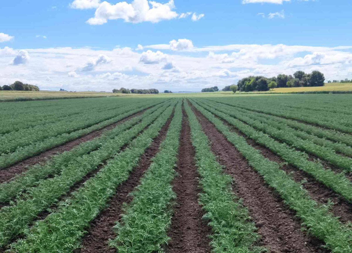 Agroassetjament renovable.

Article urgent de <a href="/gerardbat/">Gerard Batalla Tàsies</a> 

laconca51.cat/agroassetjamen…