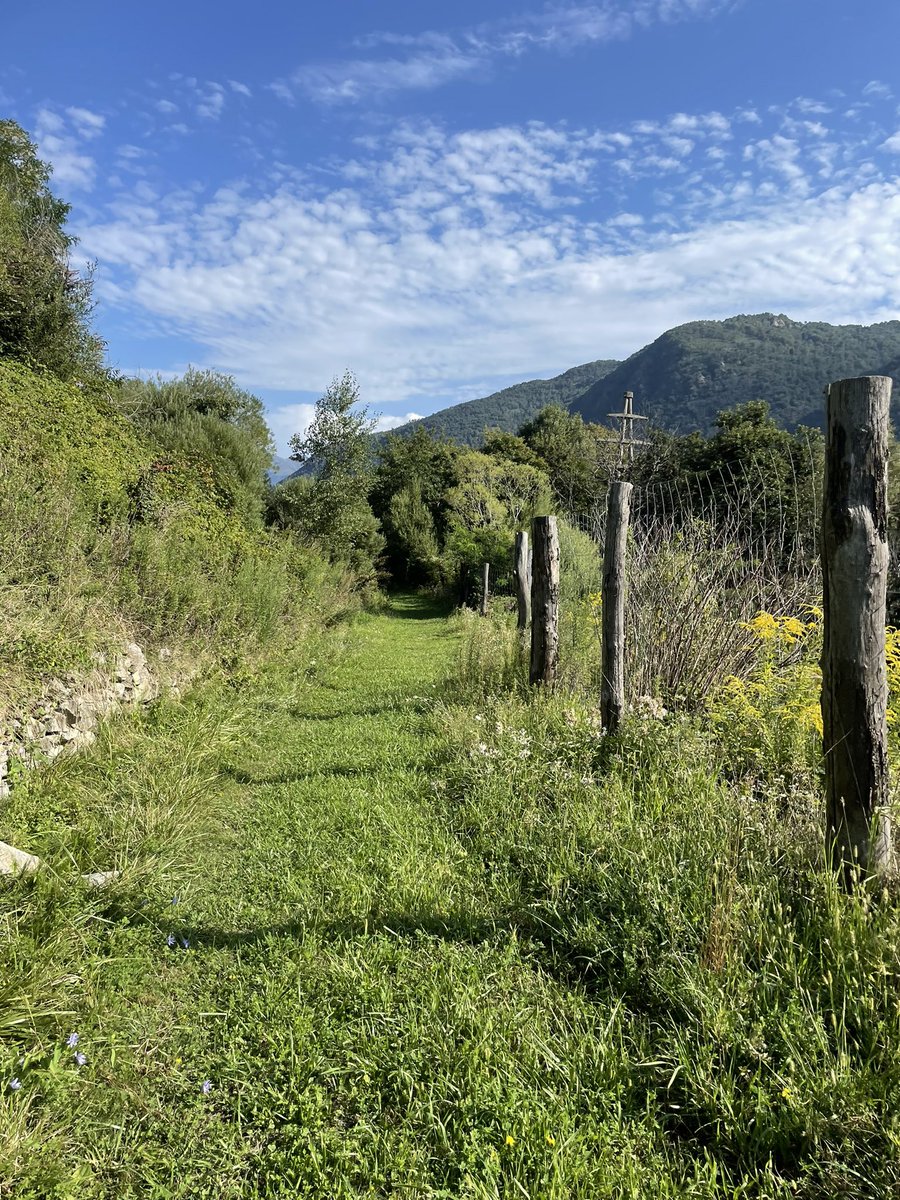 Catherine Watkins tweet media