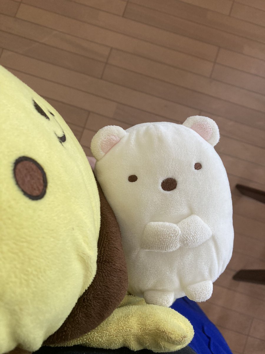 🦊🪷ぱー太郎🍶👹 tweet media