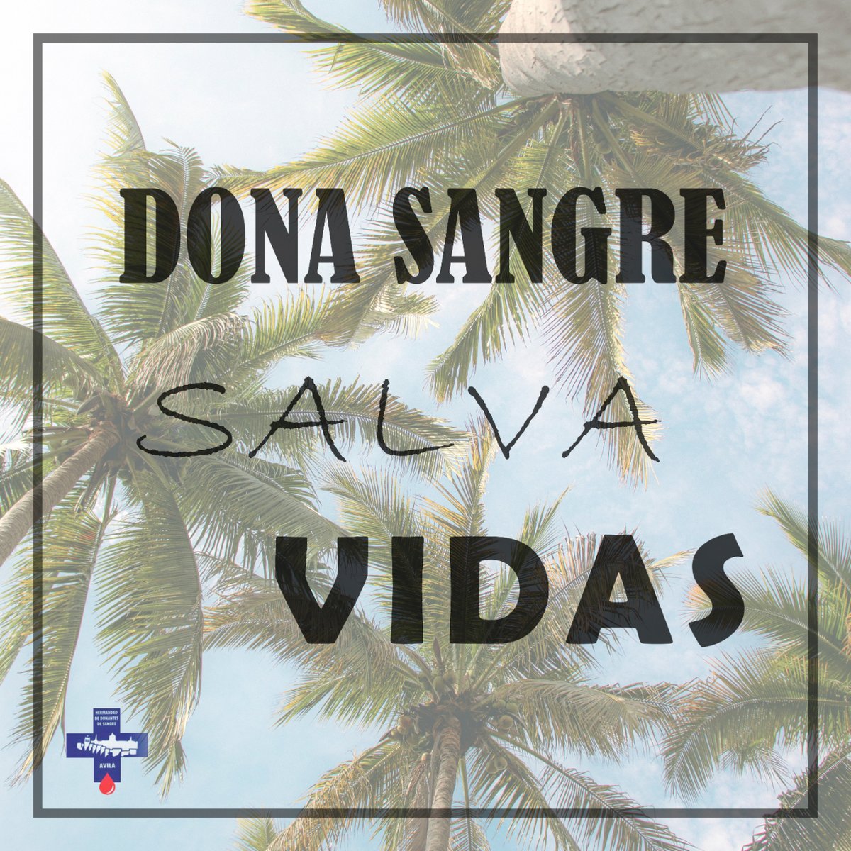 Donantes de Sangre de Ávila 🩸 tweet media