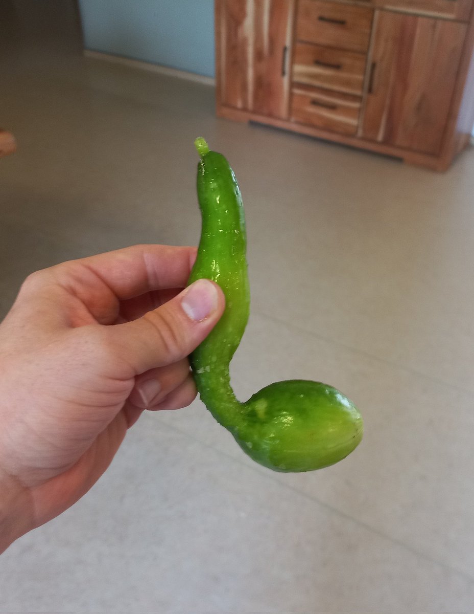 Falls ihr euch schon immer gefragt habt, wie eine Gurke klingt: