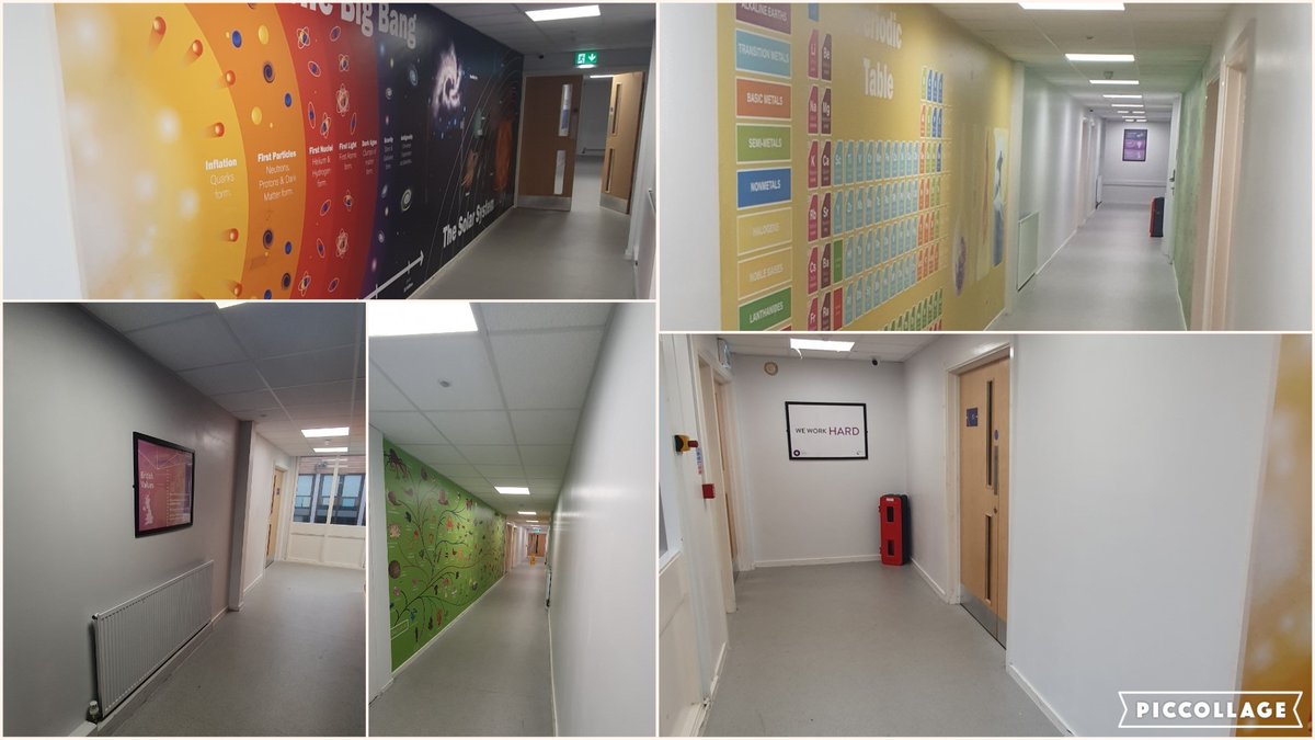 SuttonAcademy's tweet image. Great to see our main science corridor having a refresh! It now looks great once again! A huge thanks goes out to the site team who are working incredibly hard to improve the site for our staff and students! #oneteam #vertas #suttonfamily #thesuttonway