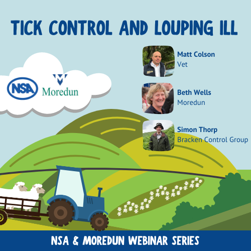 natsheep's tweet photo. NSA &amp; Moredun tick control and louping ill webinar 🐑

📆Wednesday 20th September
⏰7.30pm

⭐Collect 8 AMTRA points and 2 RoSA CPD points for attending this webinar

Register to attend this FREE webinar⤵
https://t.co/i5bOedWd4i

@MoredunComms https://t.co/ToheGvIwET