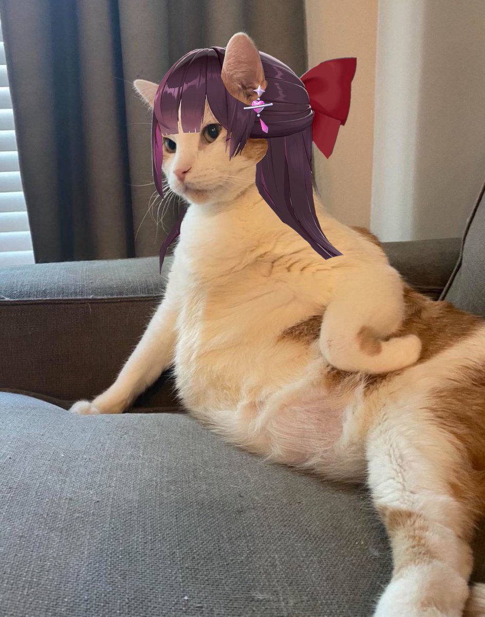 춘마가🕊🌱 tweet media