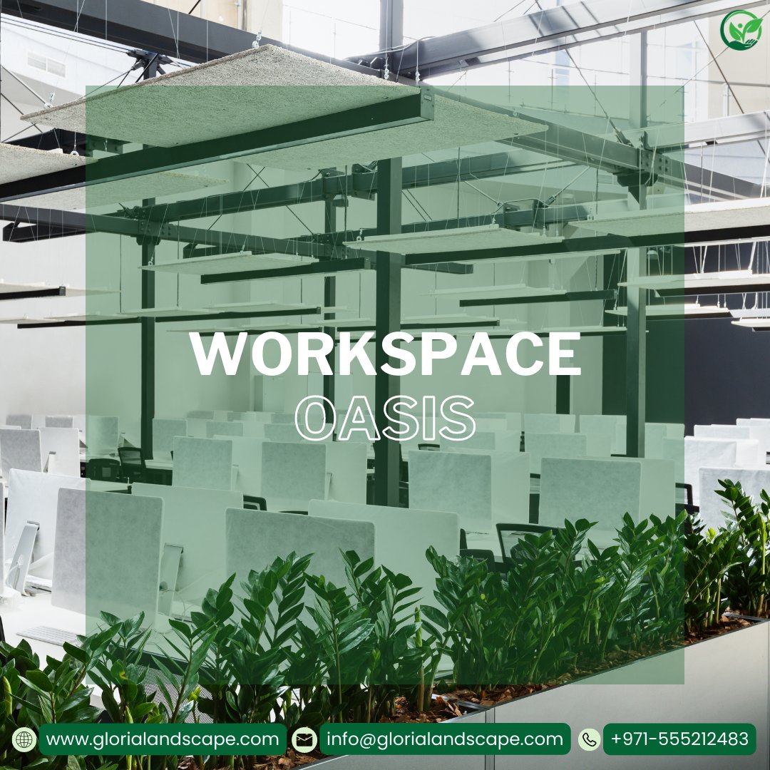 Gloriascape's tweet photo. Step into a sanctuary of productivity and calm. Our indoor office landscapes foster an environment where work and well-being flourish. 

✉️info@glorialandscape.com 
📞 055 521 2483 
🌐 https://t.co/90Fv1G8Td1 

#OfficeEscape #Officedecoration #Officedesign #Officegreen https://t.co/XQpa9MQTW2