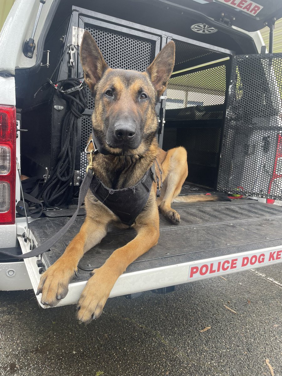 WAPoliceCanine tweet media