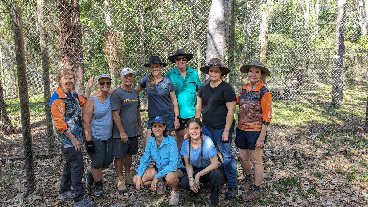 wildsurround's tweet photo. With the help of Townsville HIke &amp; Explore and Rotary Club of Thuringowa, we did some upgrades to our dingo enclosure on the weekend. We now have a fenced walkthrough path between our two enclosures for educational wildlife tours.
#wildlfiesurrounds #hike #hiking #explore #Dingo https://t.co/cH57RF9J20