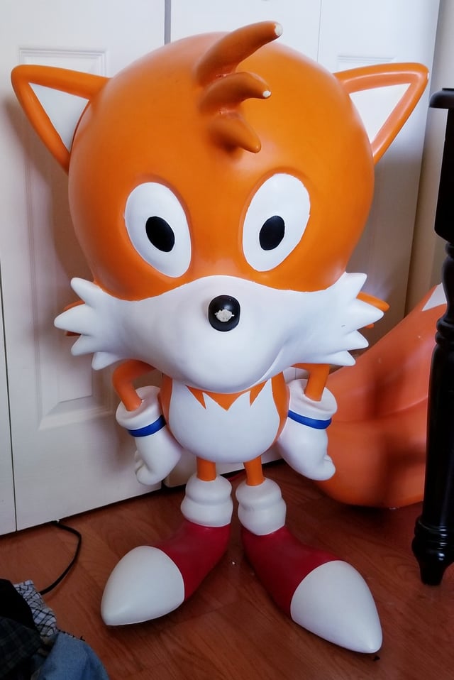 DailyTailsreal tweet picture