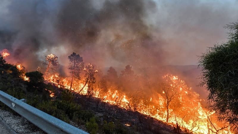 BFMTV's tweet photo. Il existe 50% de chances que 2023 soit l'année la plus chaude jamais enregistrée
https://t.co/gzqO4hul1r https://t.co/5QpB3XmaBk