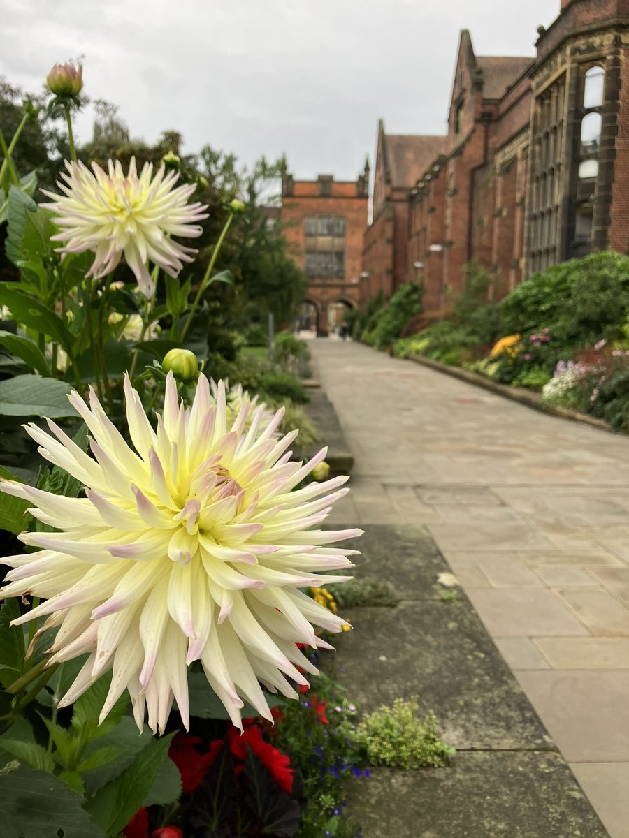 LeeAssessor's tweet photo. A dry spell @UniofNewcastle @NUEstates https://t.co/kTxrgXLXSK