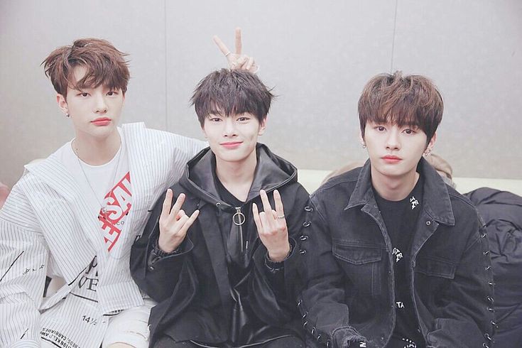 ˖ ࣪⭑ tweet media