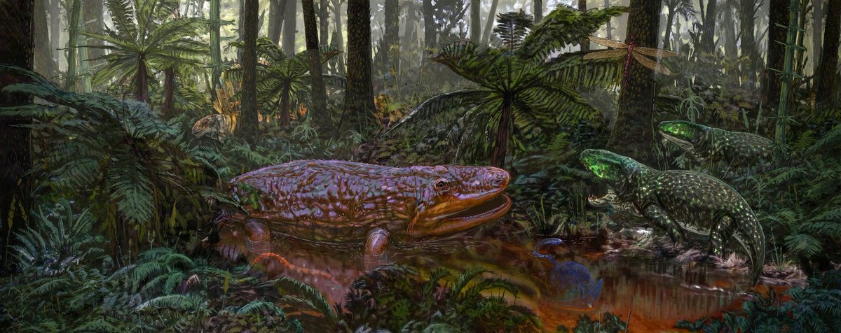 If I had a nickel for every paleoart painting set near a shallow water in a dense forest with a hidden animal in the background done with loose brushstrokes posted today I'd have two nickels, which isn't a lot but it's weird (cool) that it happened twice