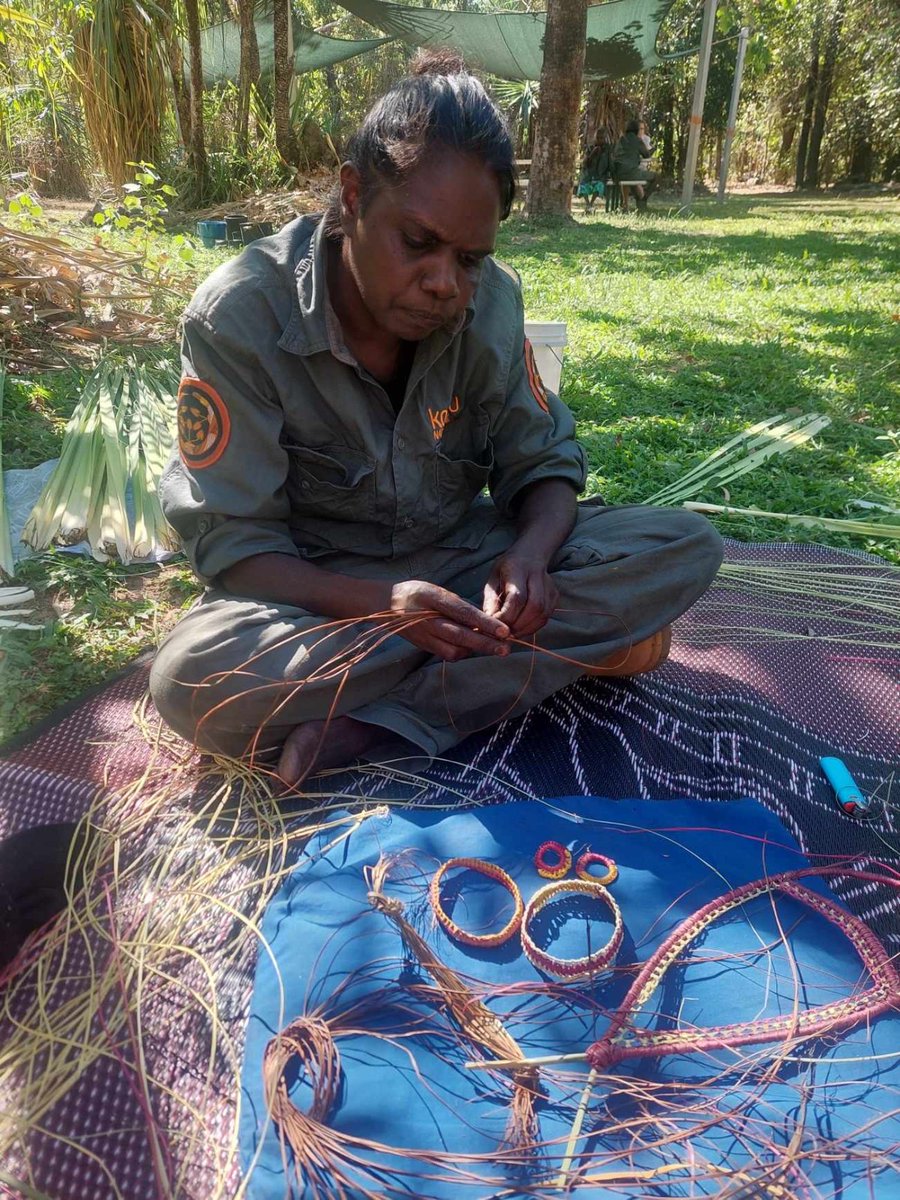 Join Daluk (Aboriginal women) and learn the skill of traditional weaving as you practice weaving your own creation. These free sessions are held every Thursday from 11:30am at Merl Campground. Bookings are essential brnw.ch/21wBEjR