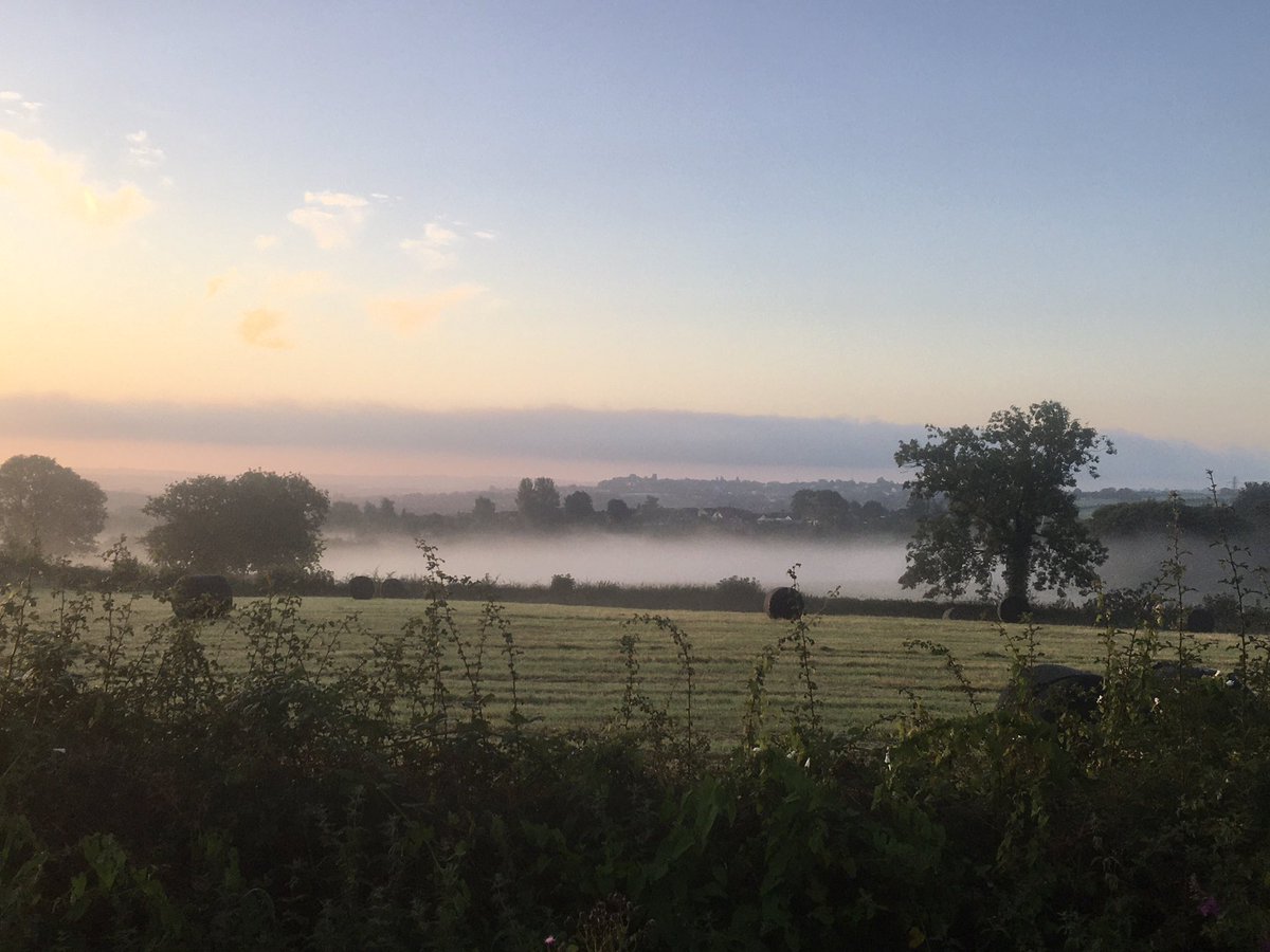 Sunrise across the misty fields on our #MorningWalk very ethereal, saw/heard Tawny owl, Sparrow, Green woodpecker, Jackdaw, Dunnock, Robin, Goldfinch, Magpie & Kestrel 🌤🌾🌿