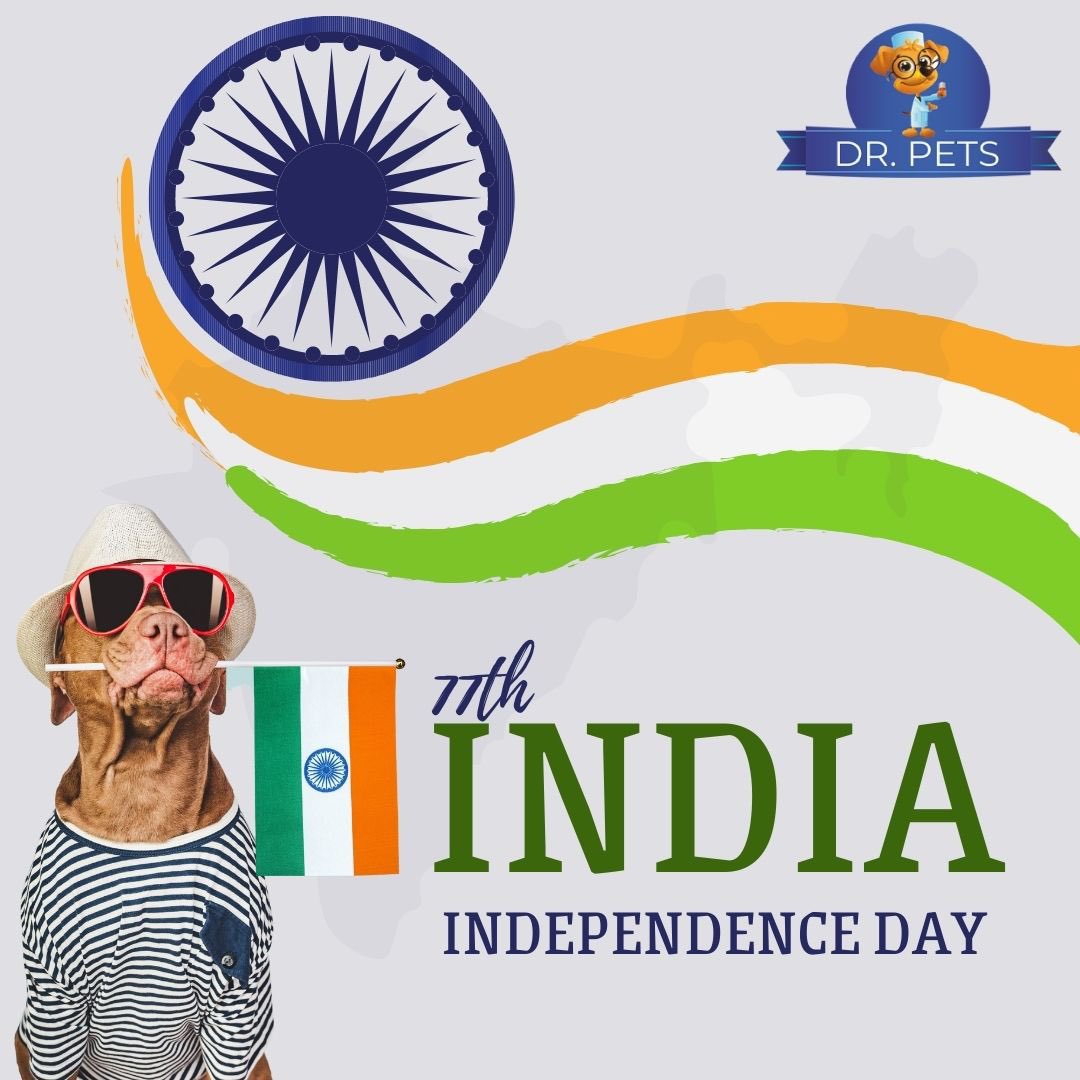 Happy independence day to all
#independencedayindia #15thaugust #independenceday