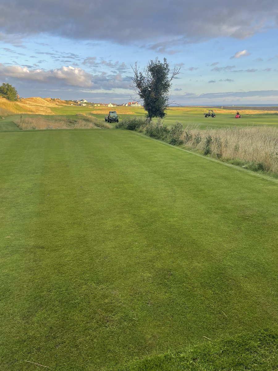 FraserDGC's tweet photo. Lovely morning here @dunbargolfclub - first time hand cutting tees too!😳🫣 https://t.co/KRKC3n8Izq