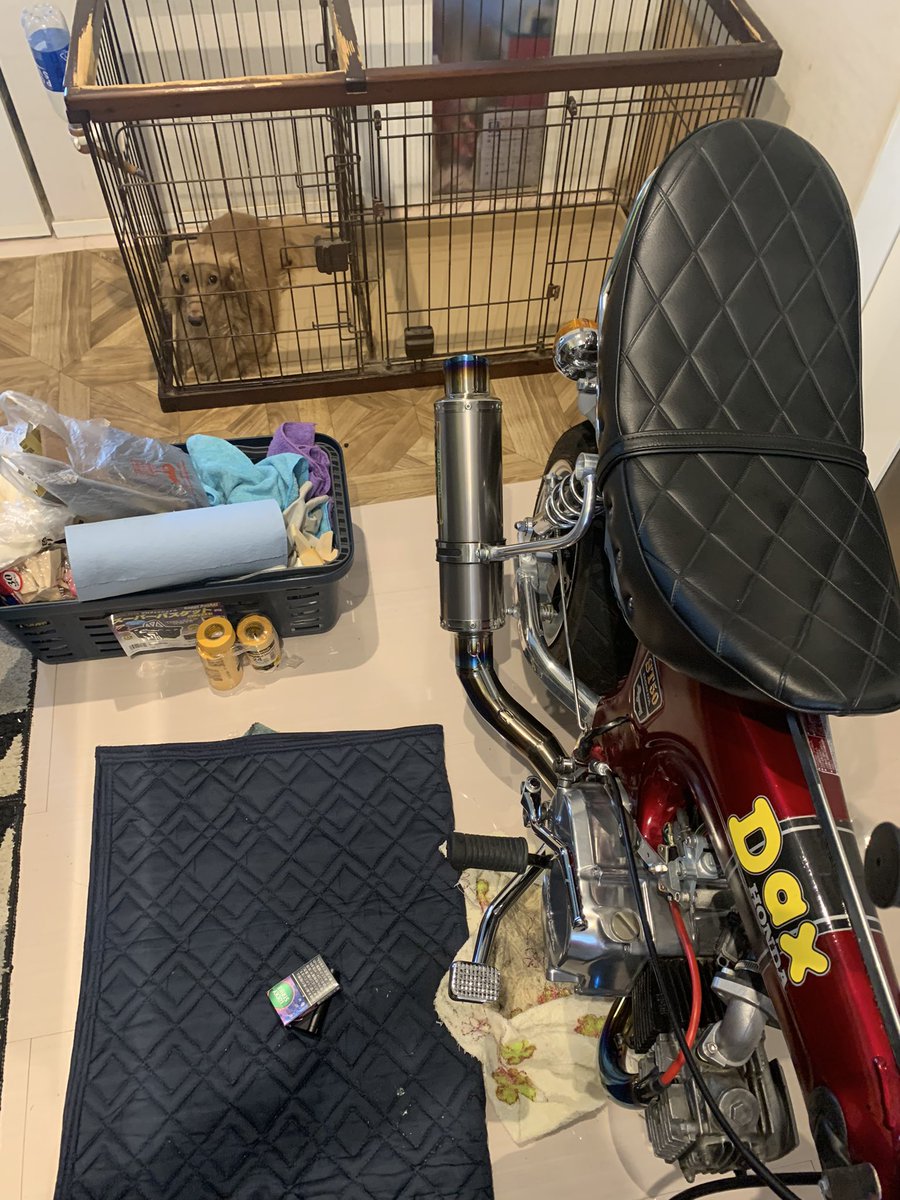 suke_42's tweet photo. 台風なのでダックス磨きました🥺

奥のダックスは磨いてませんからねw

#ダックス50
#HONDA
#HONDAダックス50 https://t.co/aElupJkaJe