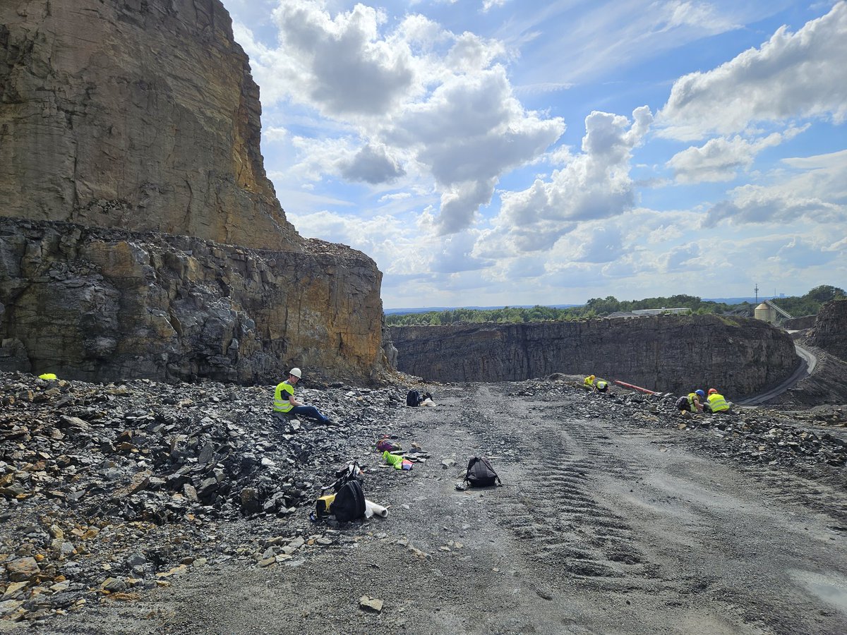 gardiner_lab's tweet photo. 🌿 When plant biologists go on a weekend adventure, they don't mess around – they unearth 130 million-year-old fossils!  #FossilFun #PaleoBotany #TimeTravelingScientists #PlantBioDiscovery #WeekendFossilHunt #TranslationalPlantExplorers https://t.co/QjkJvNjRDl