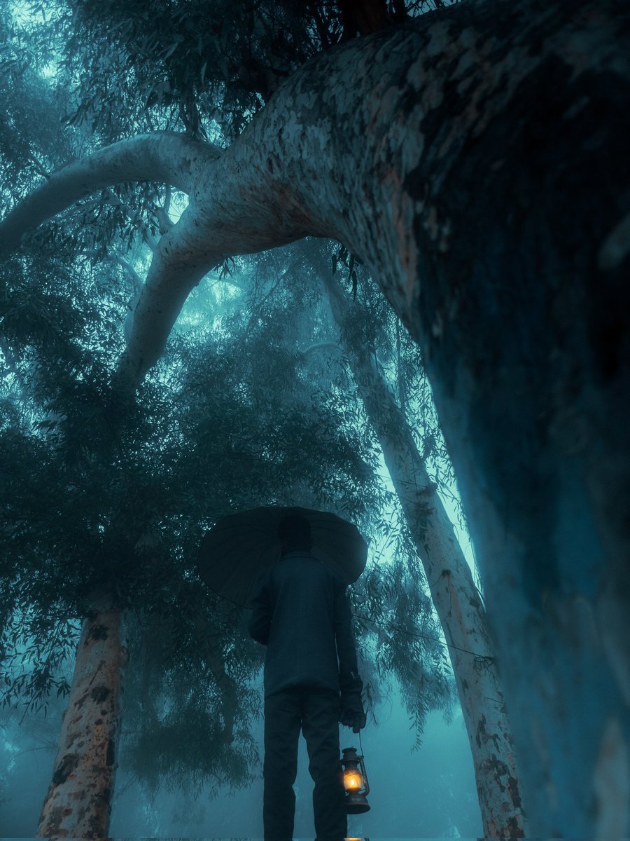 GM Photography lovers 🫶

Organized Chaos " R 0.15E